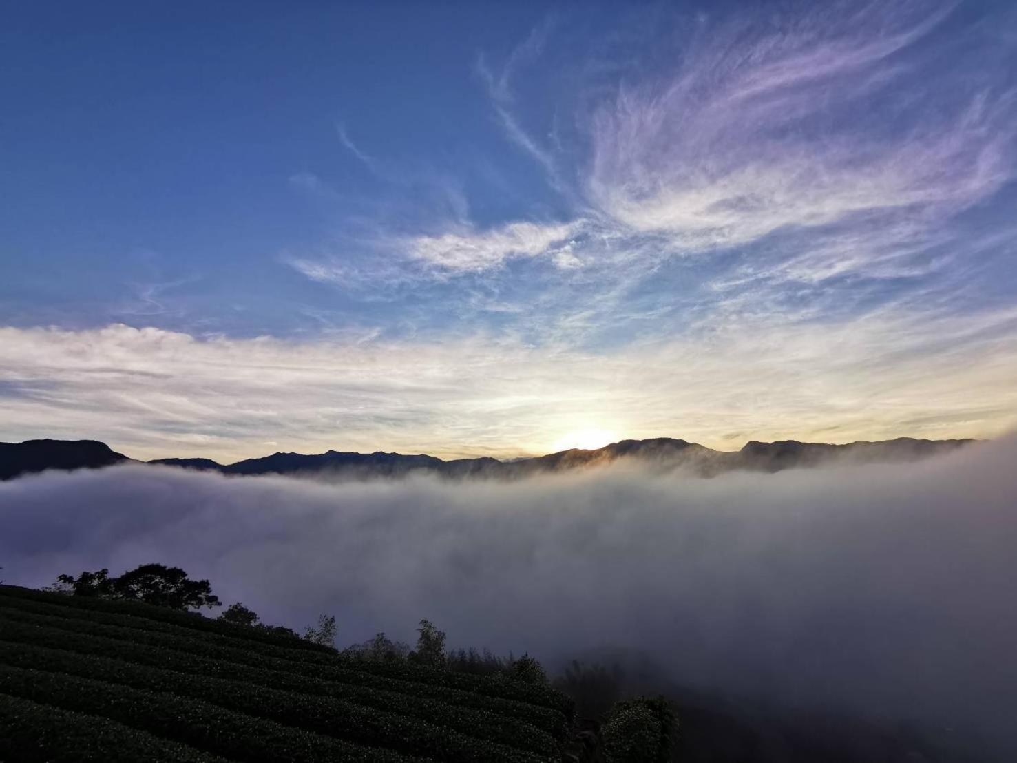 Alishan Tea Garden B&B Фенчиху Екстериор снимка
