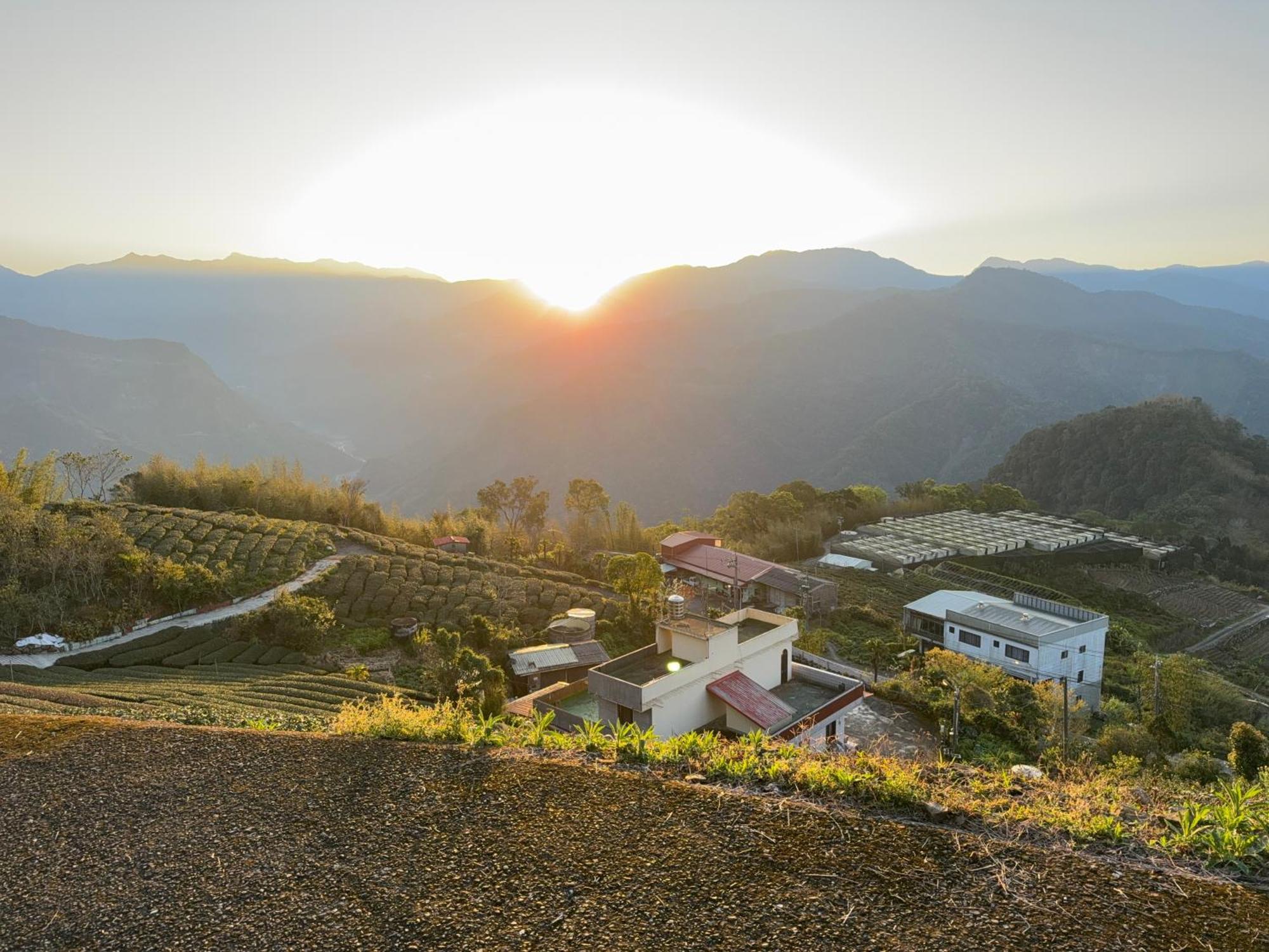 Alishan Tea Garden B&B Фенчиху Екстериор снимка