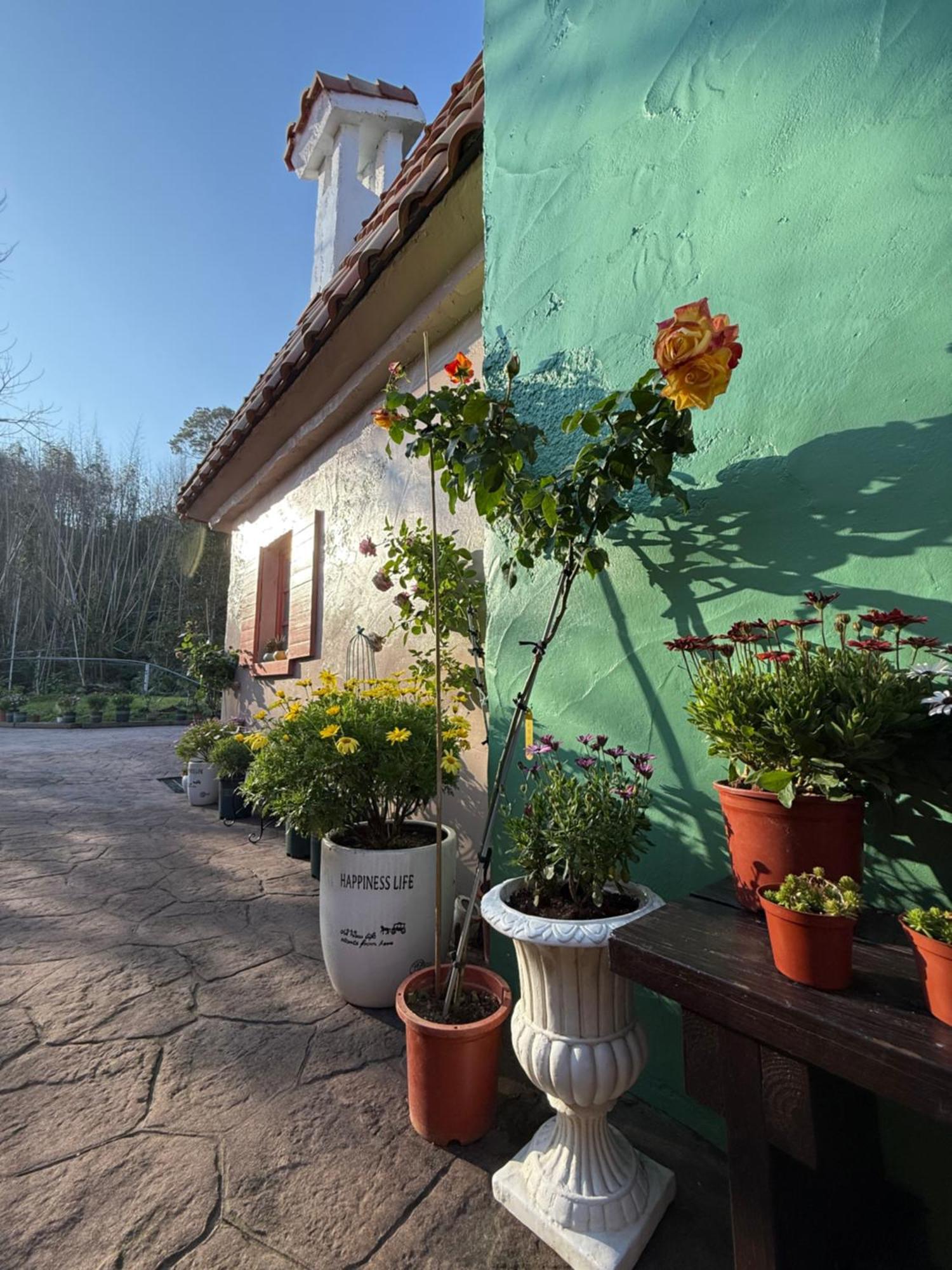Alishan Tea Garden B&B Фенчиху Екстериор снимка