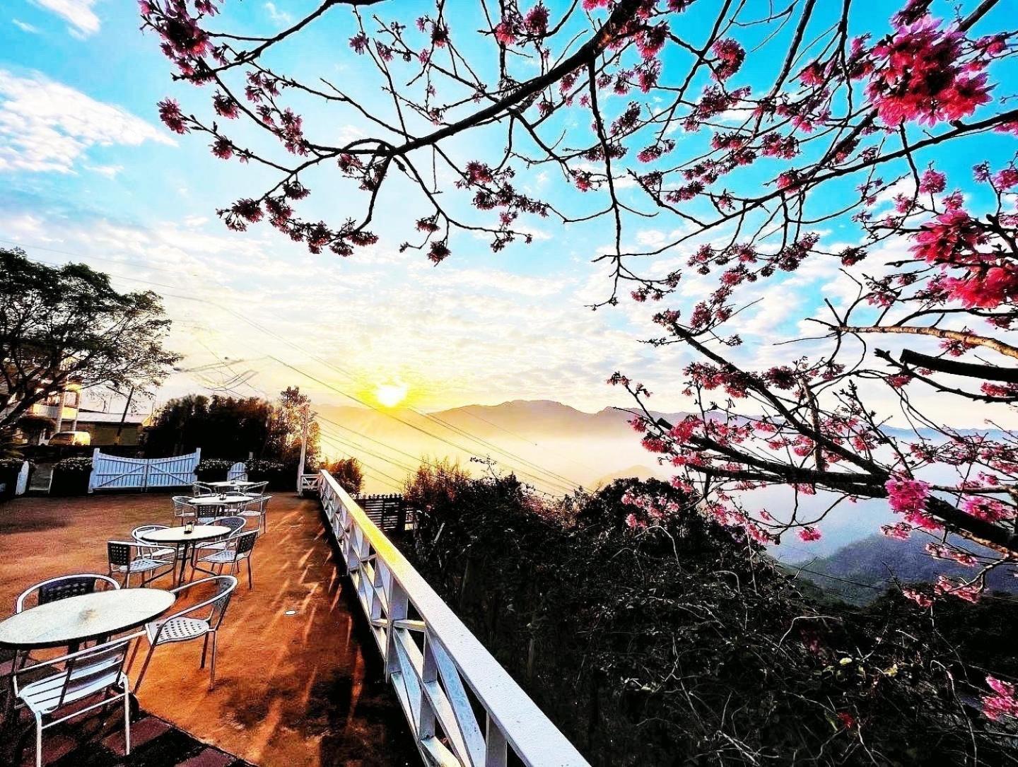 Alishan Tea Garden B&B Фенчиху Екстериор снимка